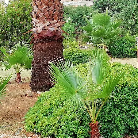 Fewo Epikur Prázdninový dům Hersonissos (Crete)